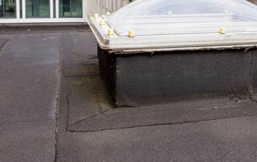 disadvantages of Post Green flat roofs