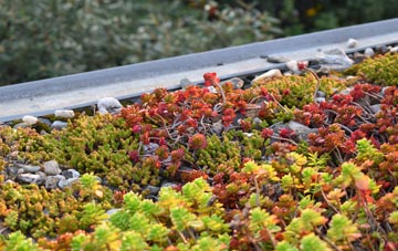 the cost of Post Green green roof installation
