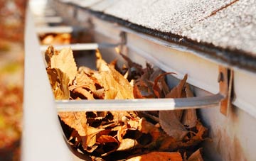 Post Green gutter cleaning companies