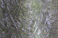 Post Green fibreglass roof work